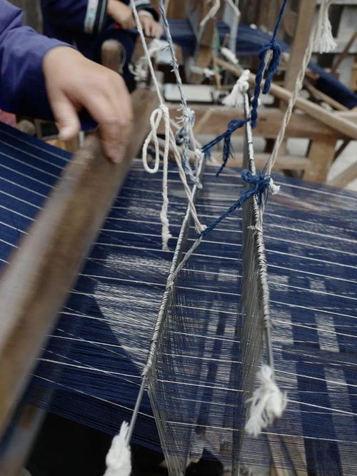 開始看樹逛田的設(shè)計師們